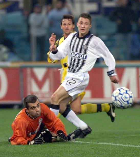 不仅依靠整 不仅依靠整